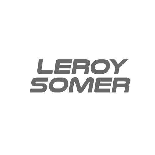 Logo de Leroy Somer